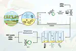 The role of urban recreational reservoirs in the accumulation, dissemination and horizontal transfer of antibiotic resistance genes